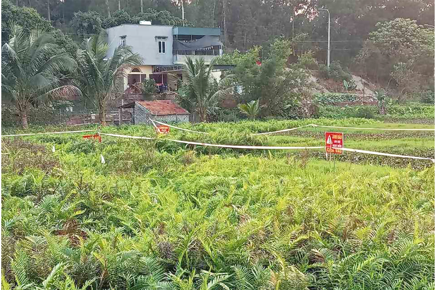 anh chup man hinh 2024 04 14 luc 183946 copy.jpg