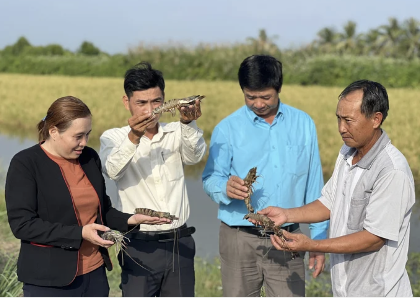 luatom tronglinh.png