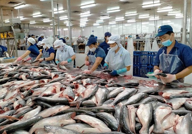 China, US, Japan – largest importers of Vietnam’s fishery products in Q1