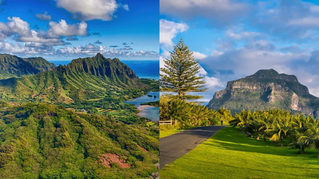 destination dupes 1 ezgifcom webp to jpg converter.jpg