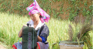 Mu Cang Chai women connect combine development with preserving cultural identity