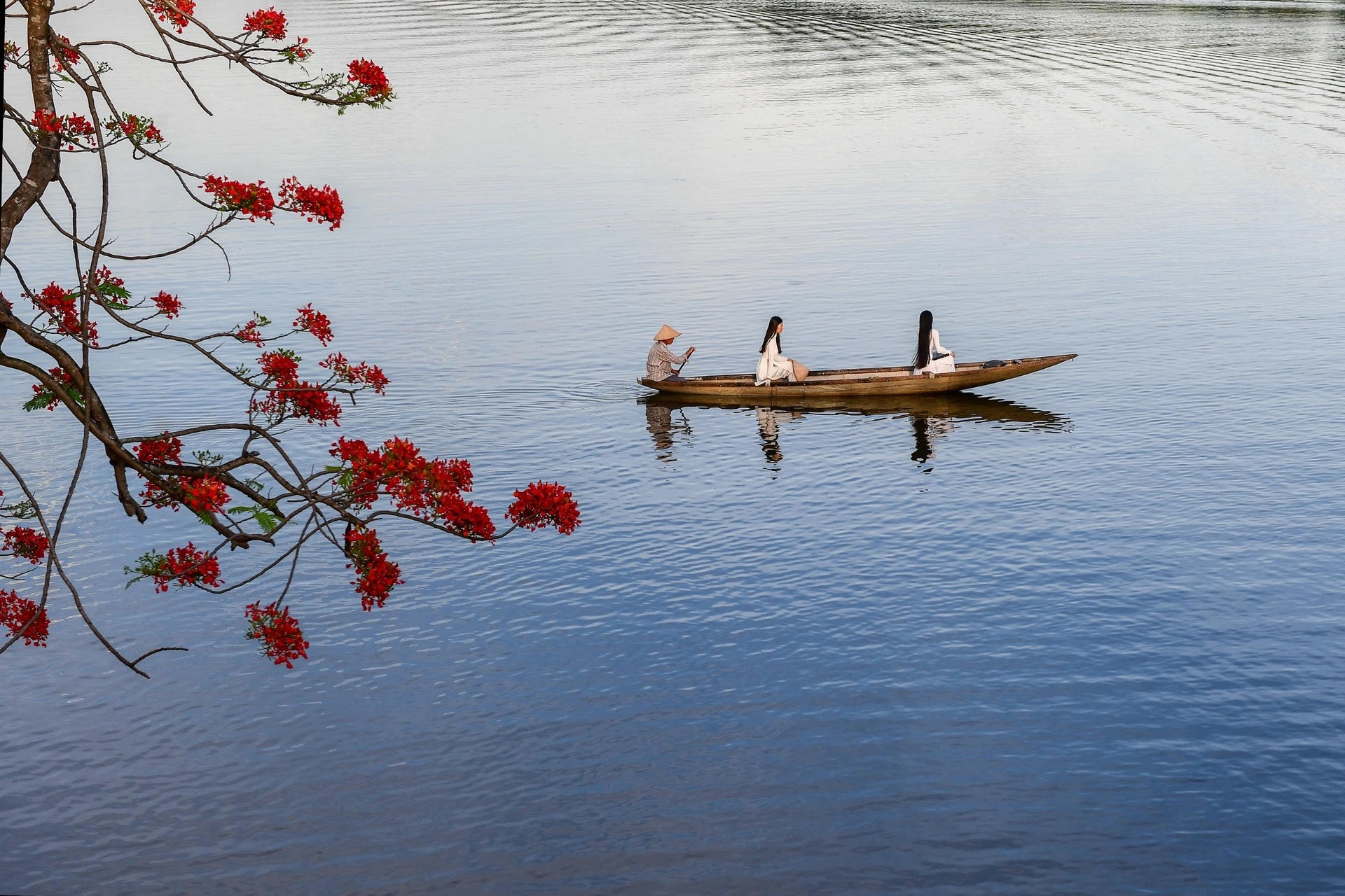 Sông cuộn mình len trong lòng phố