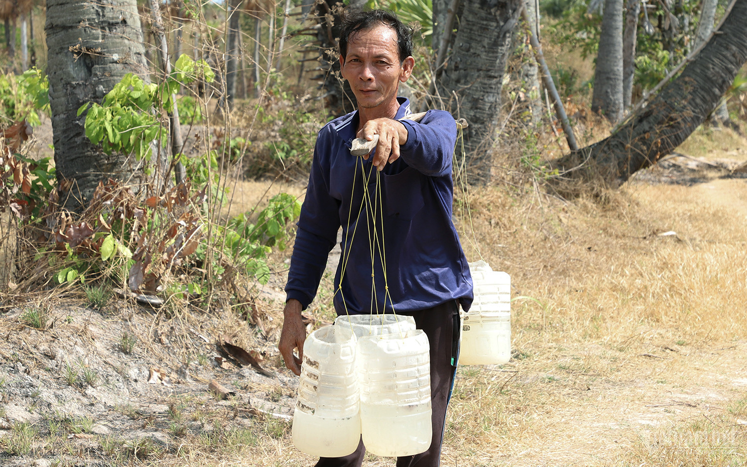 w thot not 5 1 919.jpg