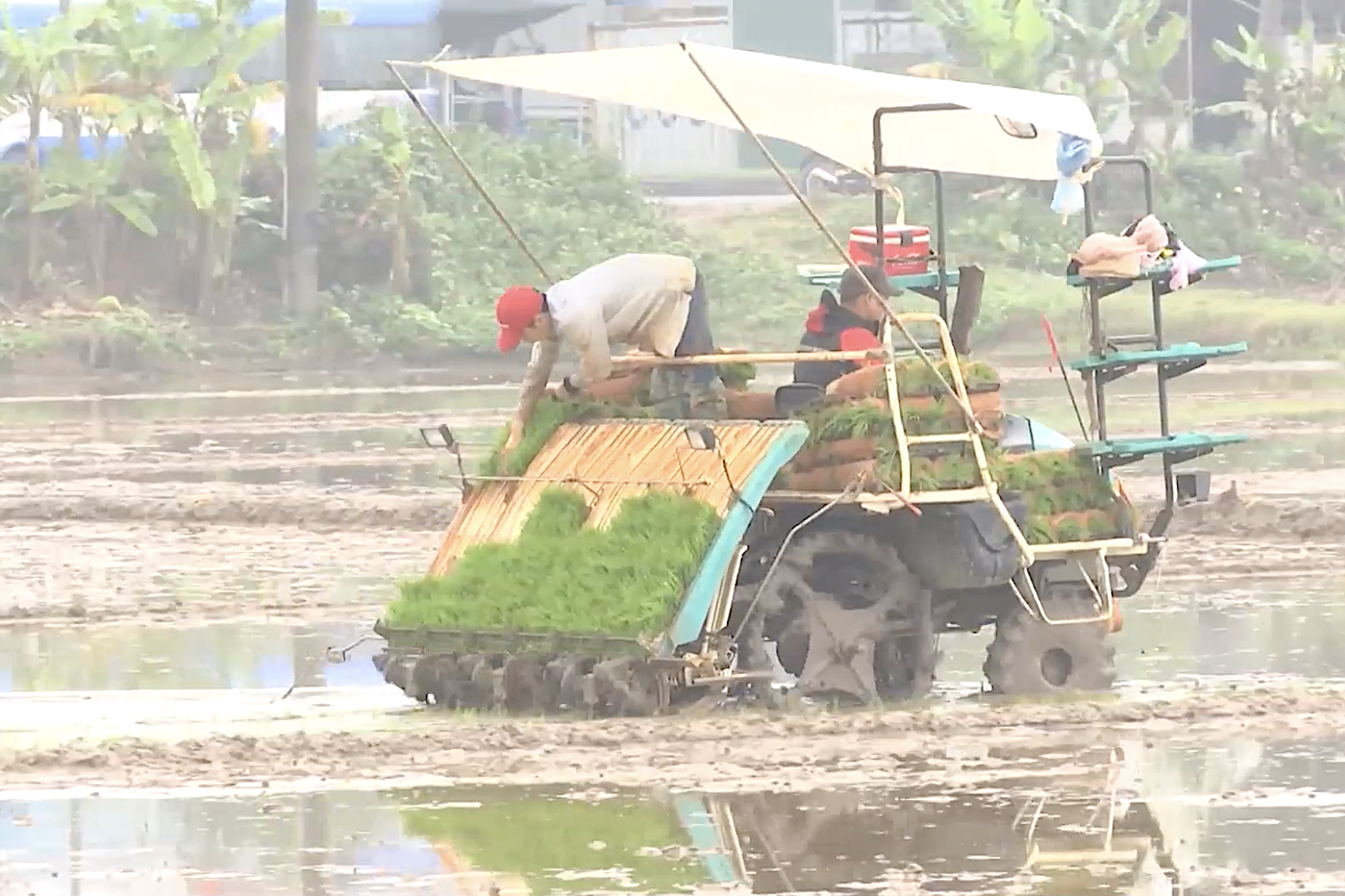 Đẩy mạnh ứng dụng công nghệ thông tin trong thu thập thông tin, dự báo thị trường nông sản tại Hà Nam