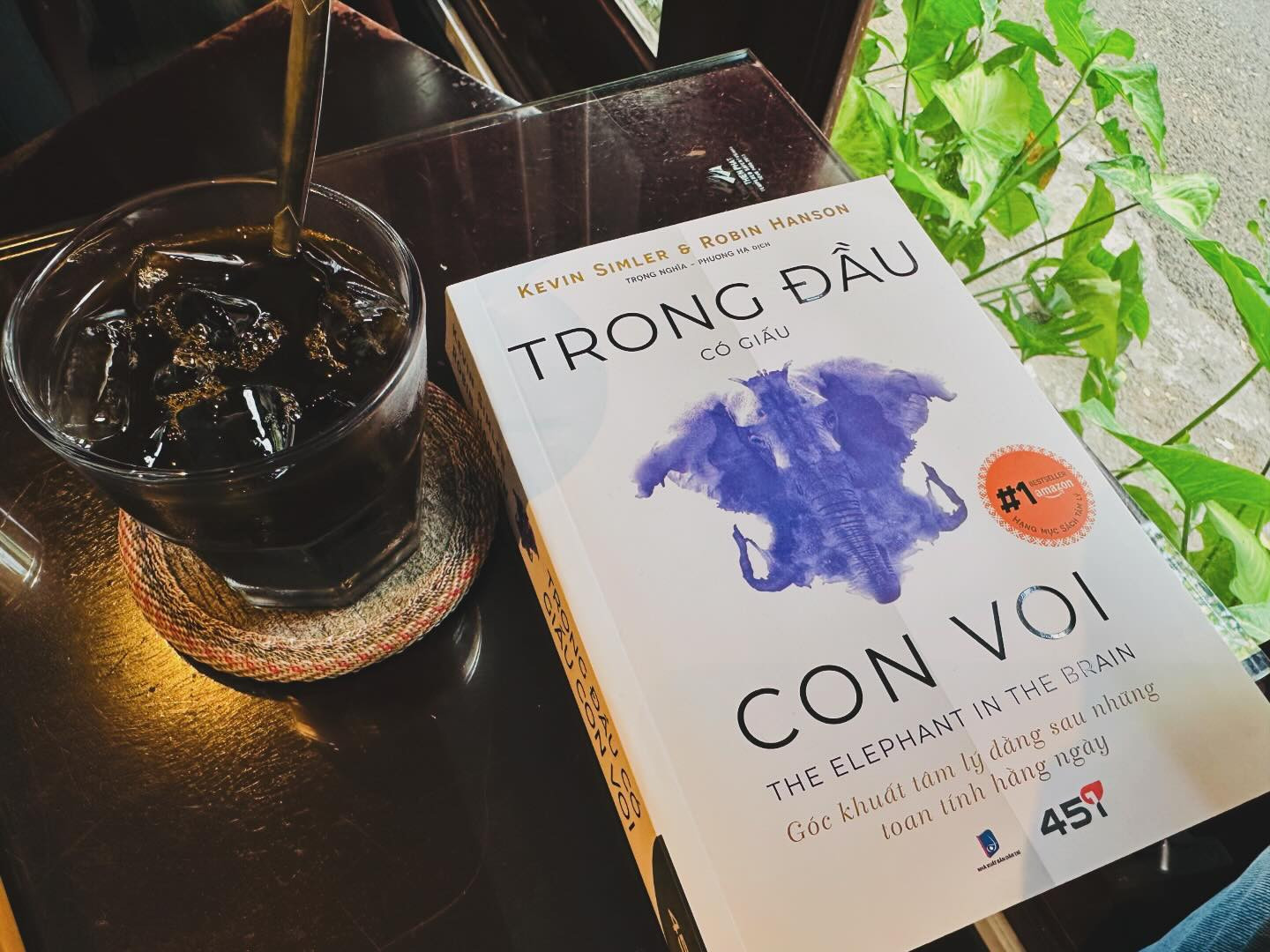 anh sach trong dau co giau con voi.jpg