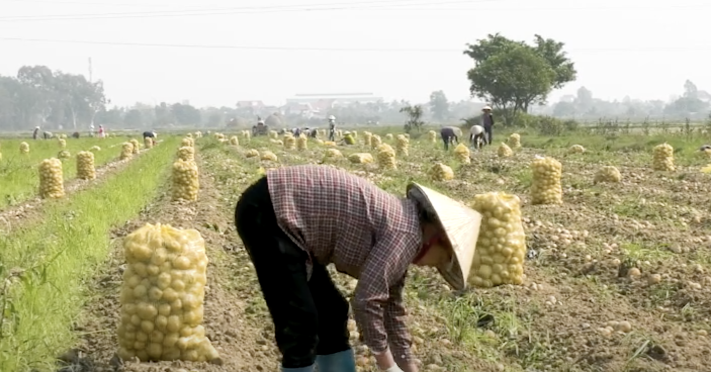 Building concentrated raw material areas for ethnic minority areas