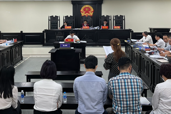Cựu Chủ tịch Vimedimex Nguyễn Thị Loan tố có 20 bút lục giả