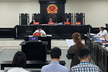 Cựu Chủ tịch Vimedimex Nguyễn Thị Loan tố có 20 bút lục giả