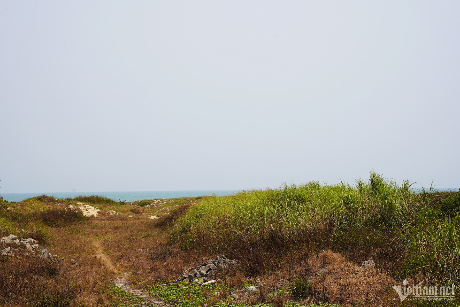 dat ven bien 20 5.jpg