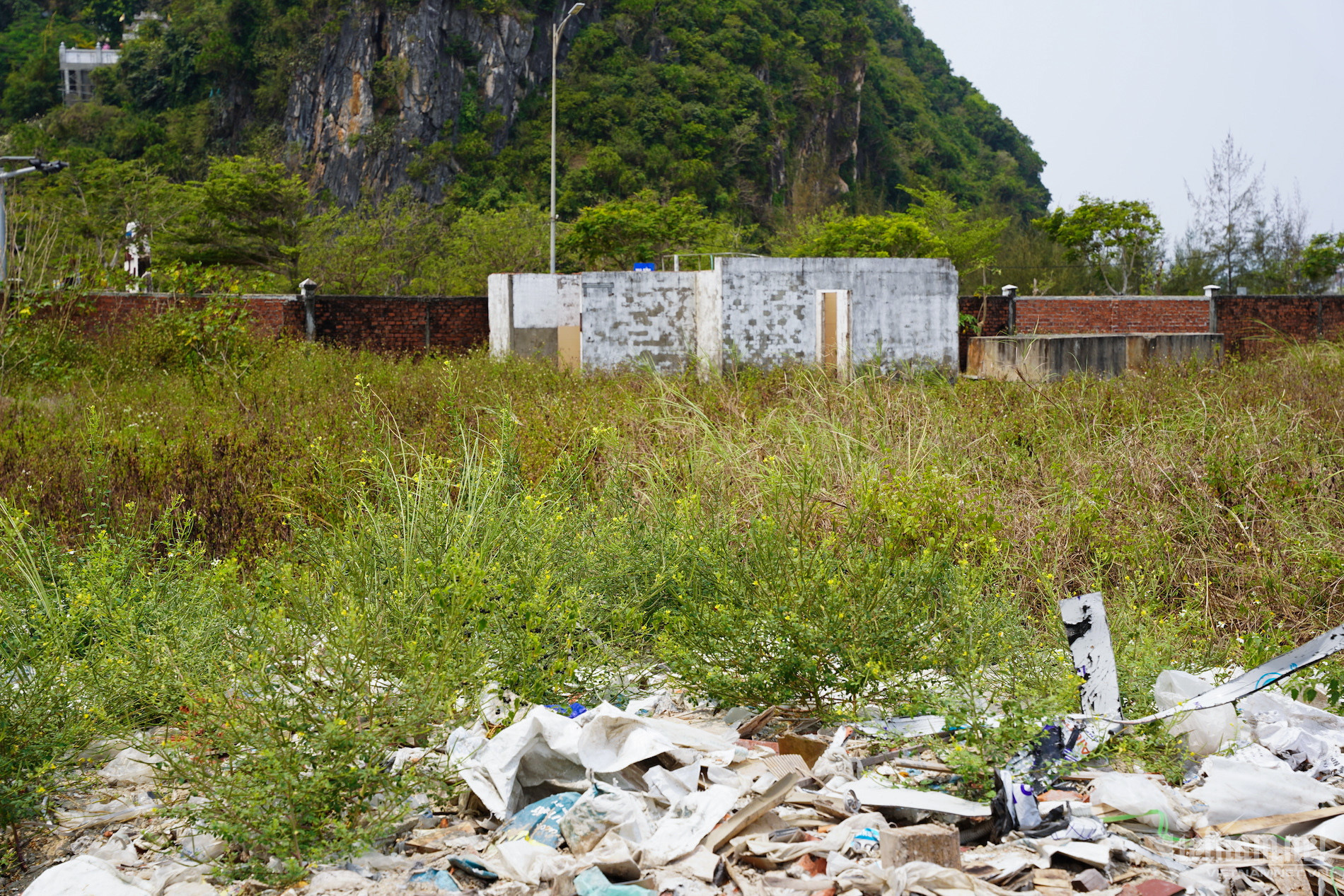 dat ven bien 6 5.jpg