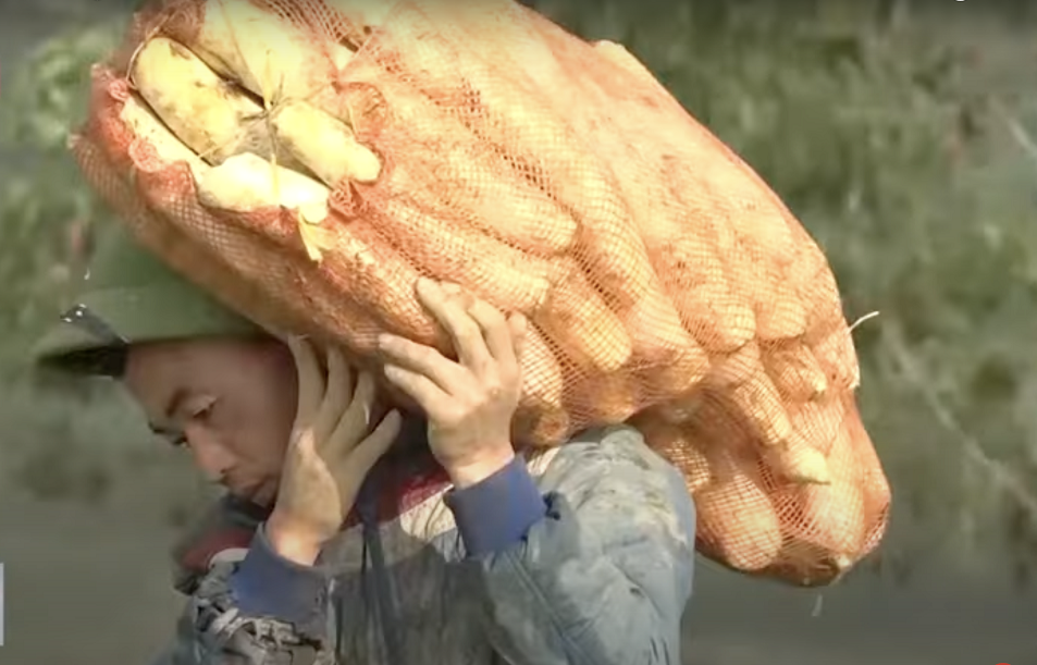 farmers vn.png