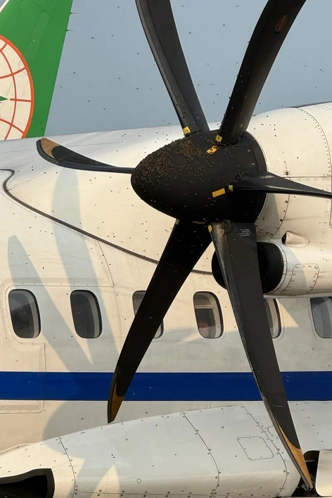 ong bao vay may bay 2.jpg