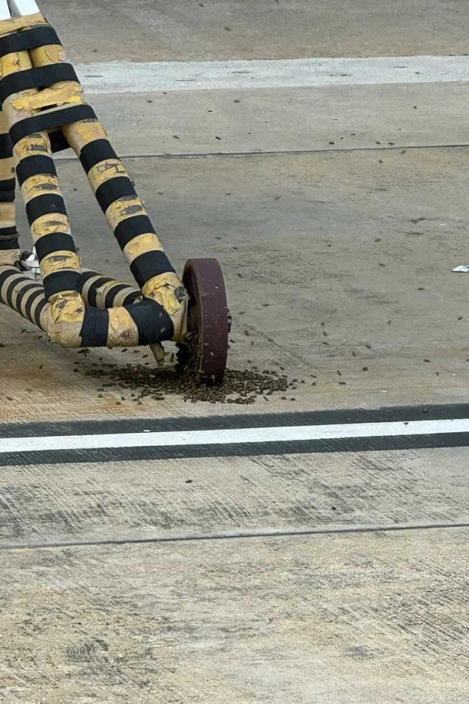 ong bao vay may bay 5.jpg