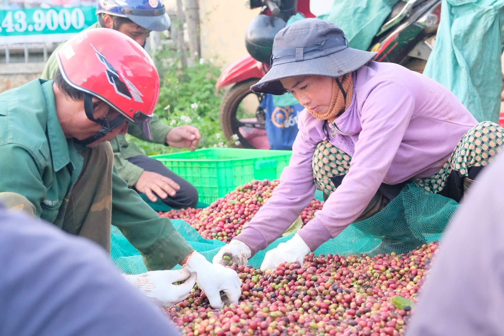 Nông dân tham gia mô hình kinh tế tuần hoàn nhằm giảm thải ra môi trường