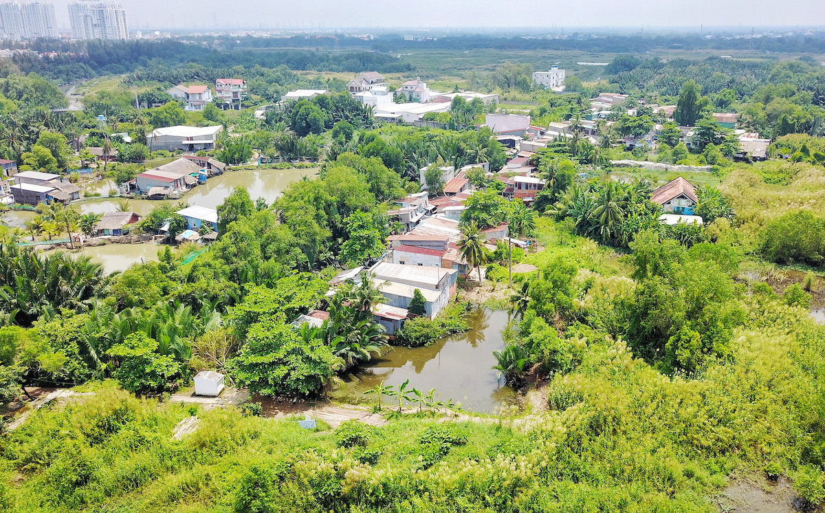 quoc cuong gia lai 1.jpeg