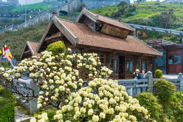 Rừng hoa đỗ quyên nở rực rỡ trên đỉnh Fansipan hút khách dịp lễ 30/4