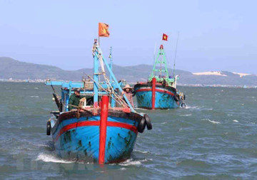 Vietnam downsizes offshore fishing fleet