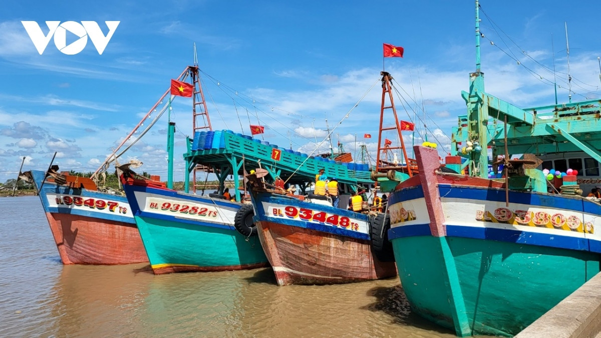whale worshipping festival in full swing in bac lieu picture 5