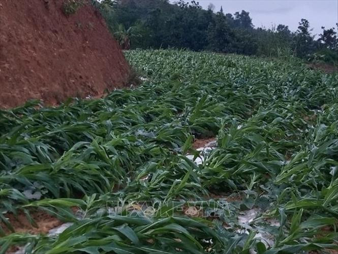 cao bang 200424 2.jpeg