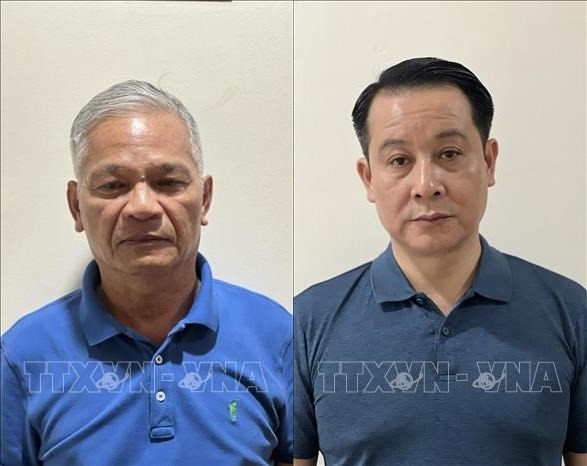 Disciplinary measures decided on Party organisations, members hinh anh 1