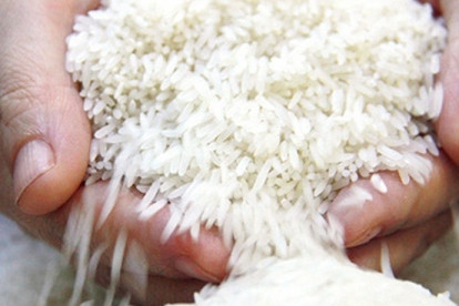 Nine Vietnamese rice varieties exempt from tariffs in EU market