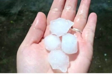 Hail hits Hanoi capital, big trees fall during thunderstorms