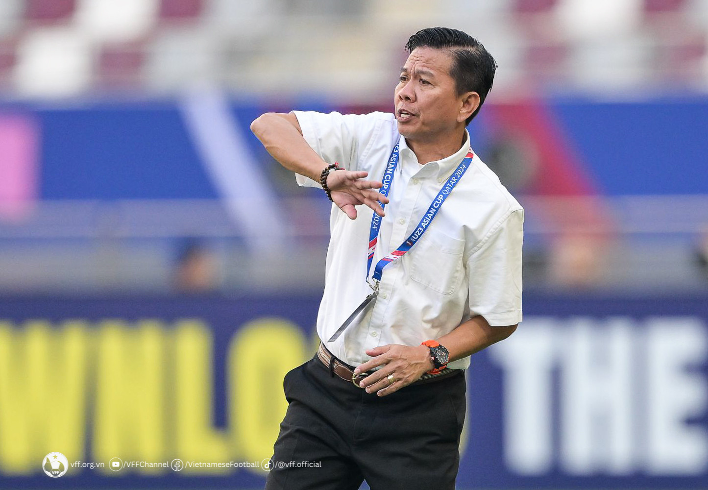 hoang anh tuan 22.jpg