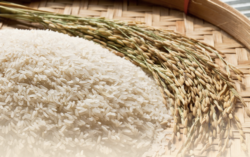 Tăng sự hiện diện mặt hàng gạo Việt Nam tại thị trường Singapore