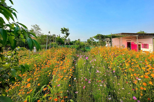 Tậu đất hoang không điện nước, gia chủ Đắk Lắk dựng chốn nghỉ dưỡng đẹp như mơ