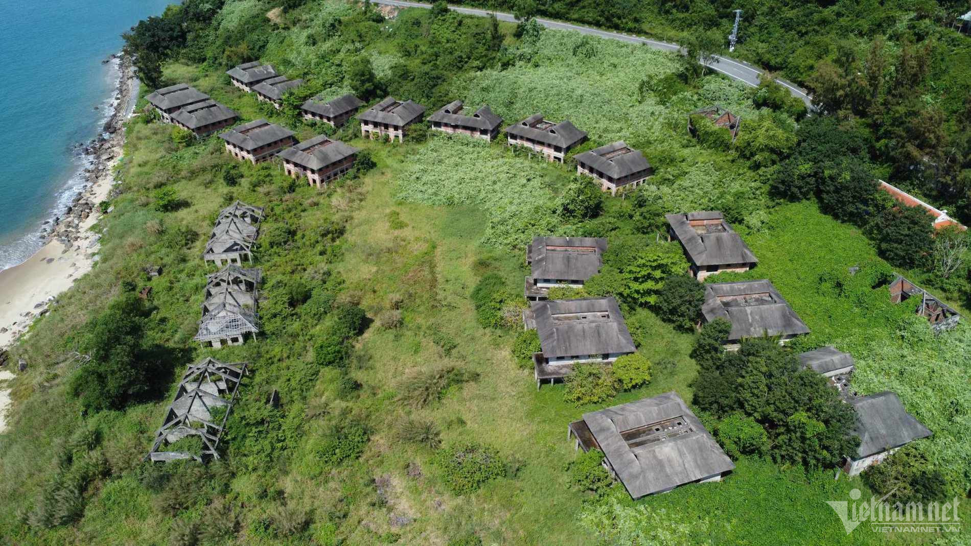 w du an bo hoang 8 1 1547.jpeg