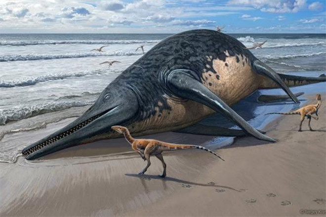 Phát hiện hóa thạch của một trong những sinh vật lớn chưa từng có trên Trái đất