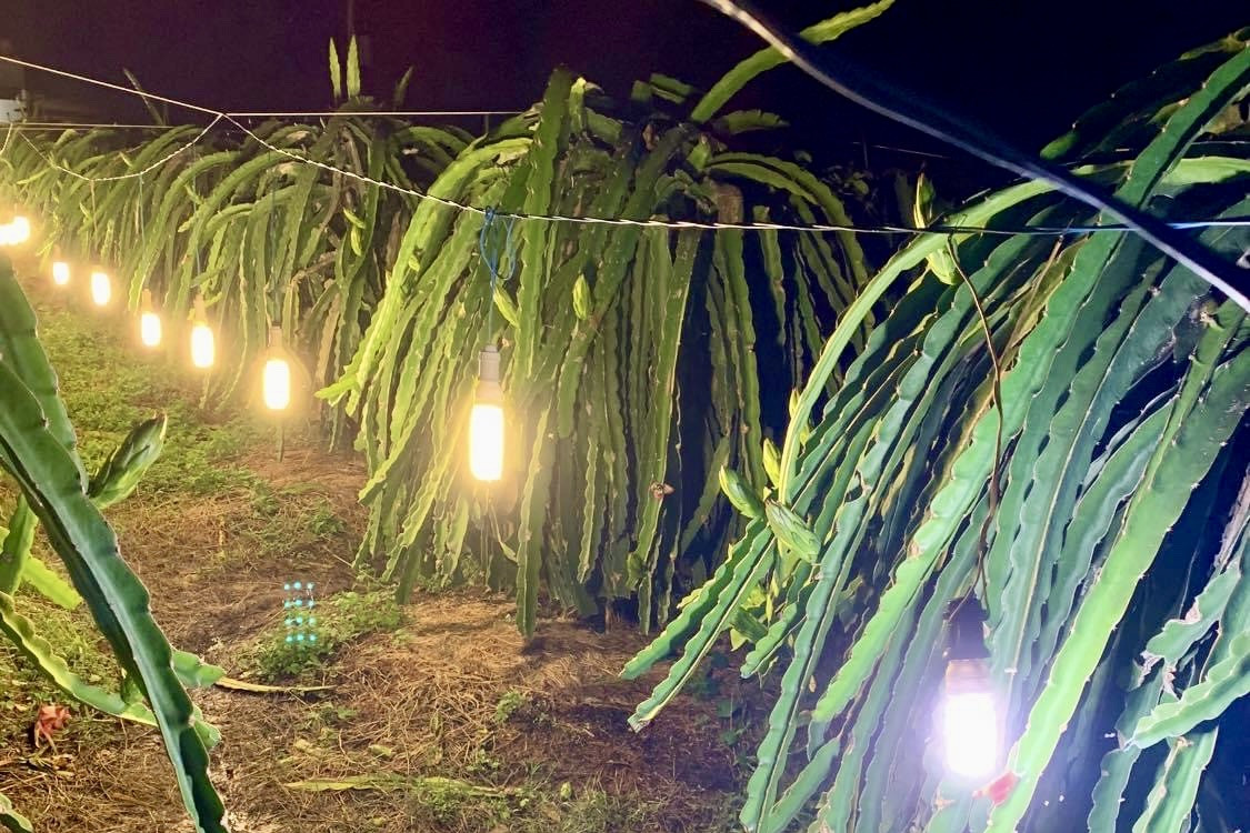 Trao quyền để thực hành sản xuất nông nghiệp thân thiện với môi trường