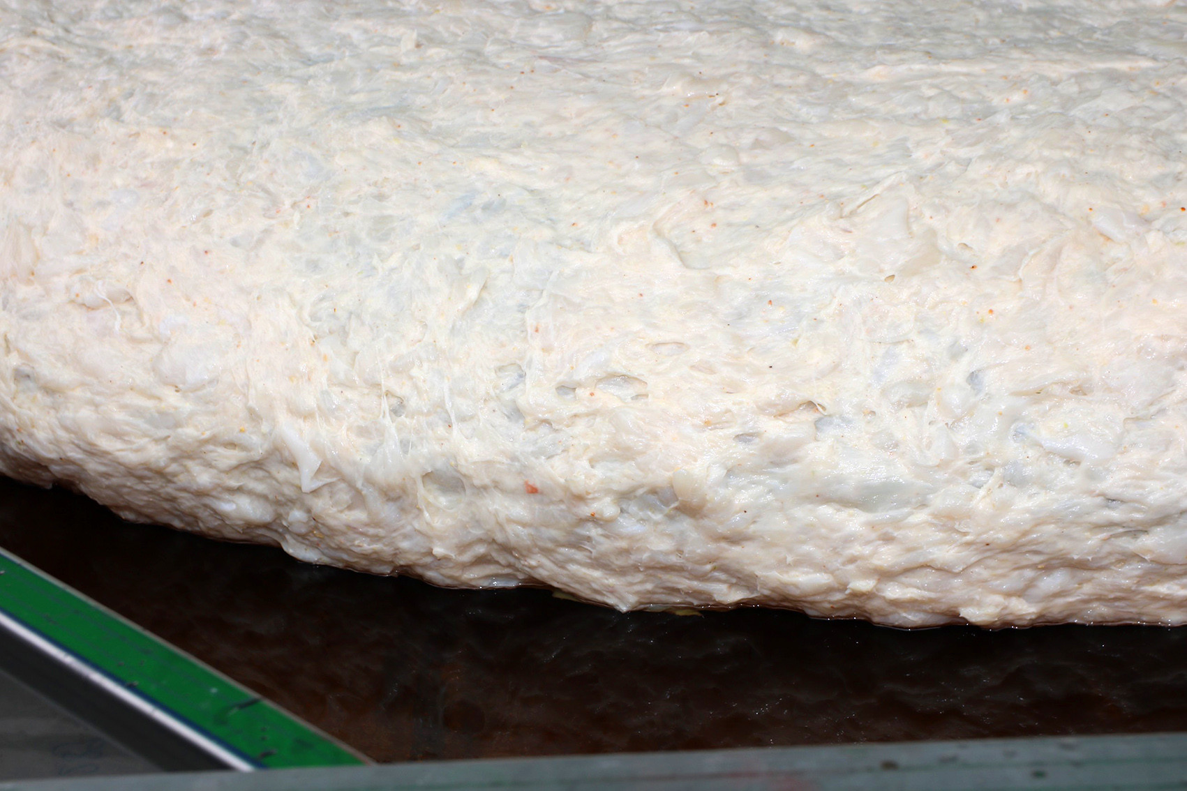 z5369249224338 121af85a40099c37eb0838ca5a6fcbda.jpg