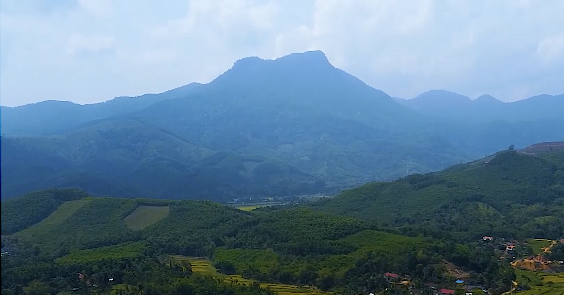 Quang Ngai supports production based on value chain in ethnic minority areas