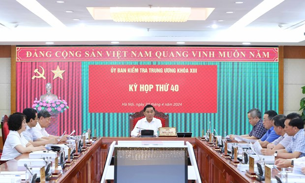 Party inspection commission examines violations by some Party organisations, officials hinh anh 1