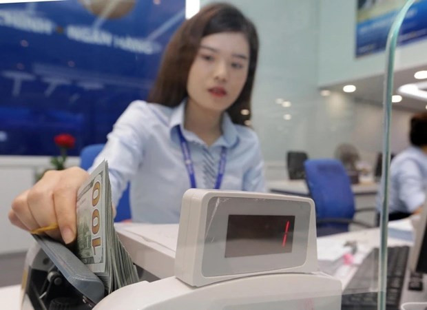 HCM City seeks to draw remittances in infrastructure hinh anh 1