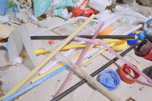 Giảm thiểu rác thải nhựa  đại dương: Trách nhiệm và hành động của Thanh niên