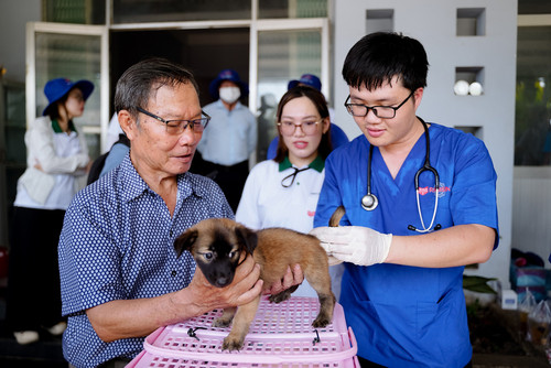 Long An: Tiêm phòng miễn phí cho 6.500 chó mèo, nỗ lực đẩy lùi bệnh dại