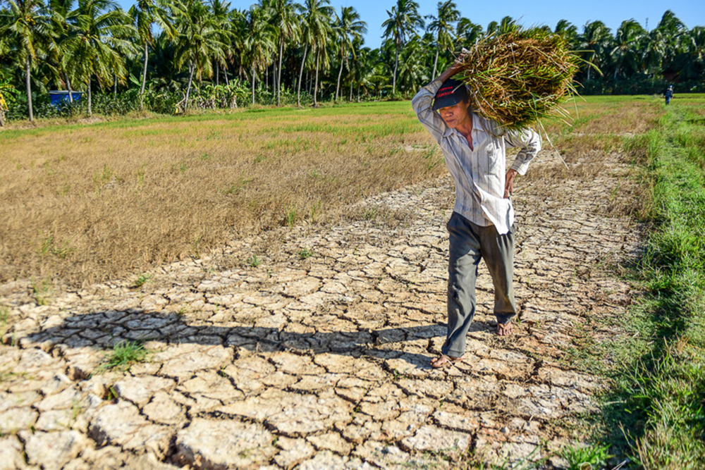 Việt Nam cùng cộng đồng quốc tế ứng phó với biến đổi khí hậu