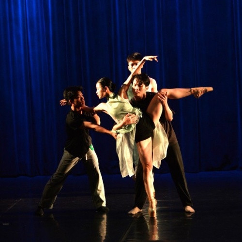 Vietnamese contemporary ballet celebrates Europe Day