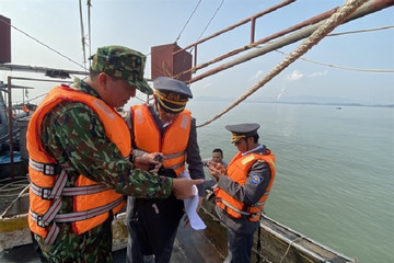 VN action programme cracks down on illegal fishing
