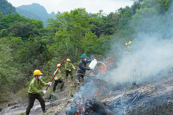 Chủ tịch tỉnh, thành phải chịu trách nhiệm nếu để cháy rừng rộng, thiệt hại lớn