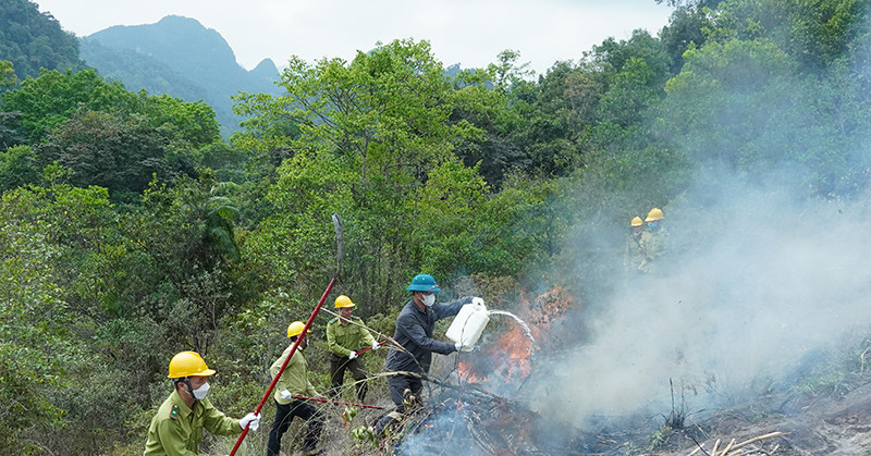 Chủ tịch tỉnh, thành phải chịu trách nhiệm nếu để cháy rừng rộng, thiệt hại lớn