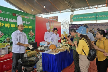 Kon Tum district sets record with 120 dishes made from ginseng