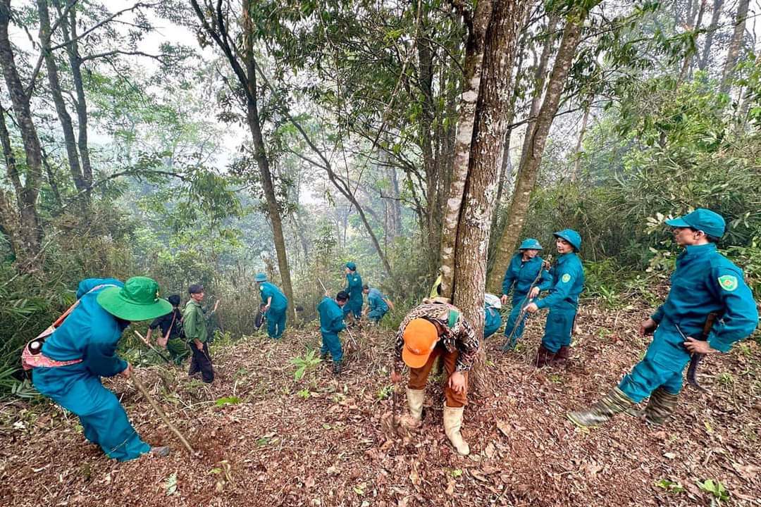 2 kiểm lâm hy sinh, công an vào cuộc điều tra vụ cháy rừng Tây Côn Lĩnh