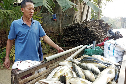 Cá chết trắng lồng ở Thanh Hoá, người nuôi trồng bỗng chốc trắng tay