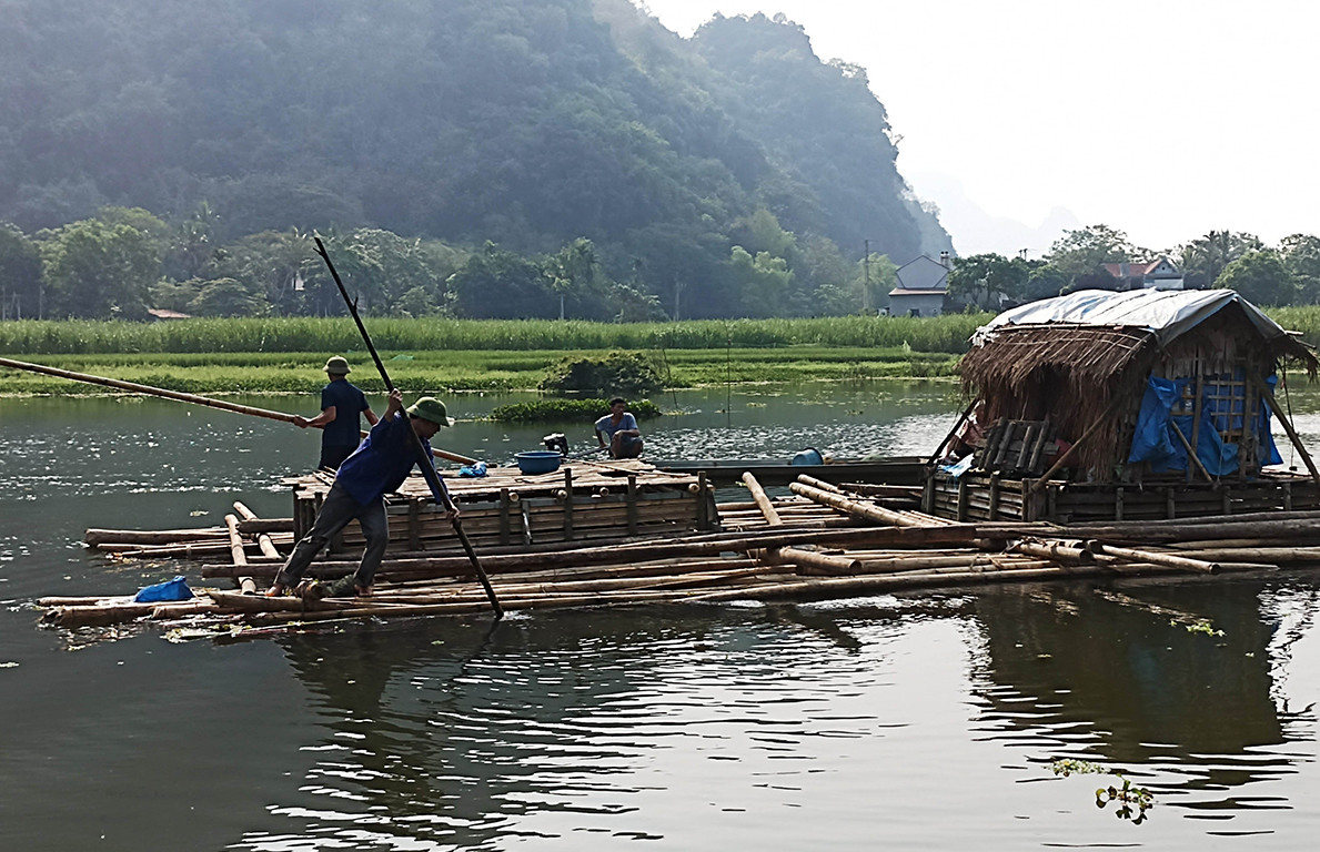 Cá nuôi trên sông Mã tiếp tục chết, người dân khẩn trương sơ tán lồng bè