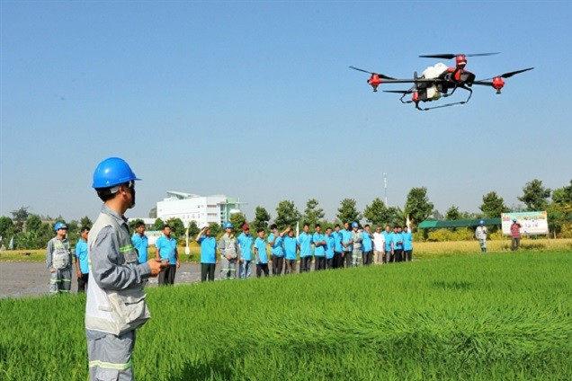 Digital transformation is the new buzz on rice fields