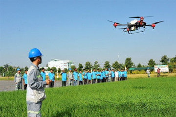 Digital transformation is the new buzz on rice fields
