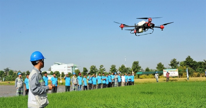Digital transformation is the new buzz on rice fields